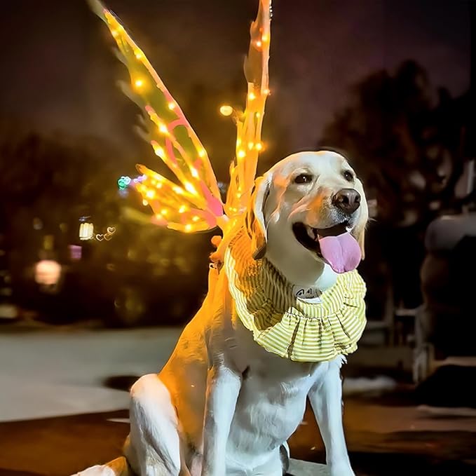 Alas Mágicas™ – Alas de mariposa luminosas con movimiento para mascotas